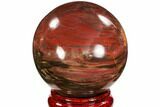 Colorful Petrified Wood Sphere - Madagascar #106991-1